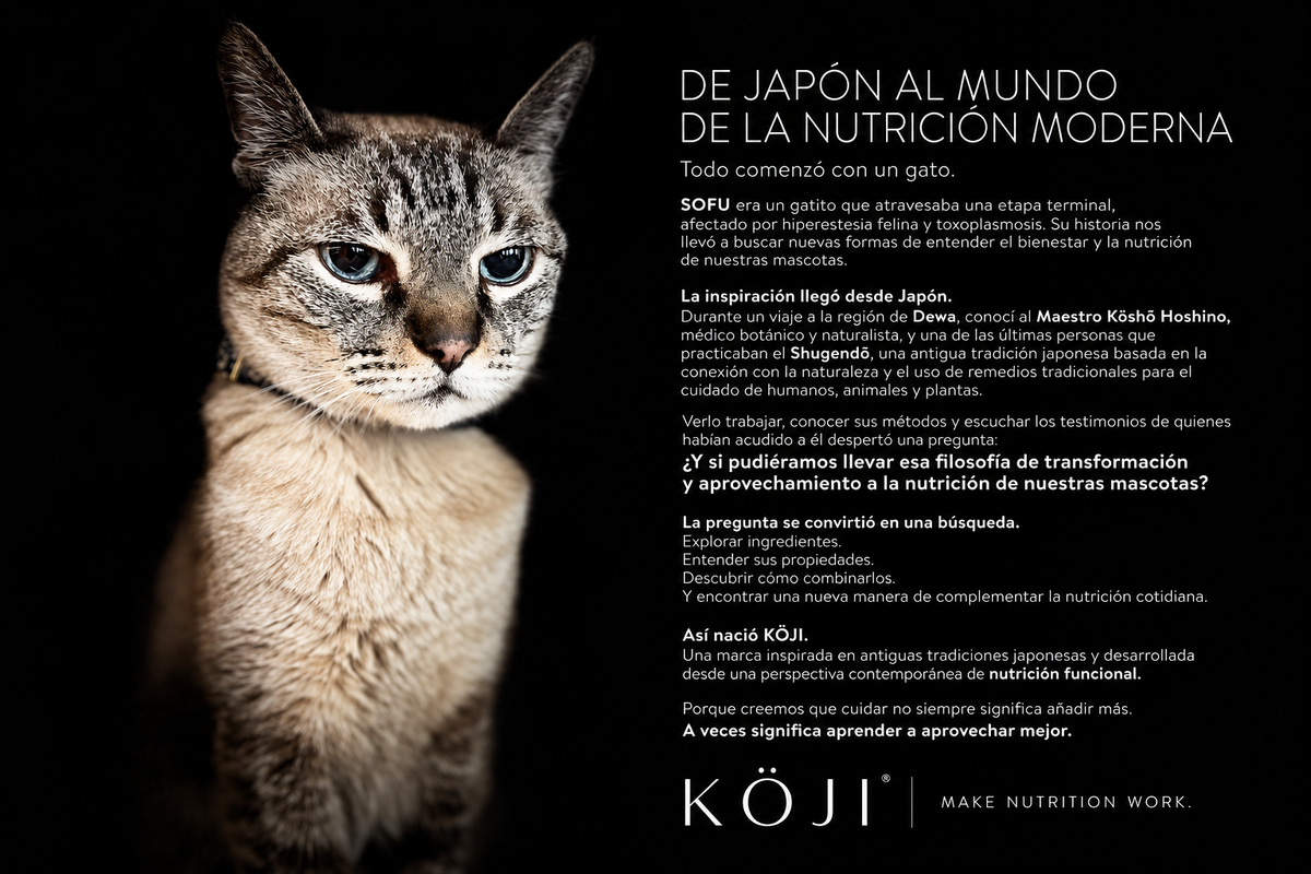 NUESTRA HISTORIA